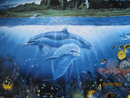 Danbury Plate - A Discovery Off Anahola
