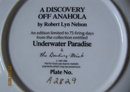 Danbury Plate - A Discovery Off Anahola