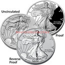2006 American Eagle 20th Anniversary Silver Coin Set NR