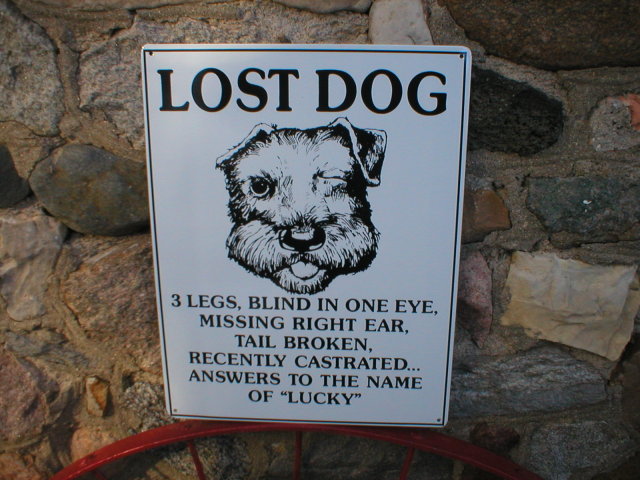 LOST DOG HUMOROUS METAL SIGN
