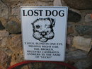 LOST DOG HUMOROUS METAL SIGN