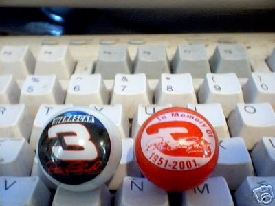 DALE EARNHARDT GLASS LOGO MARBLES