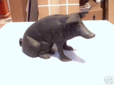 SITTING PIG