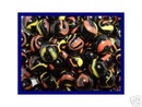 TWISTER MARBLES ONE BAG