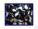 ORCA MARBLES ONE BAG