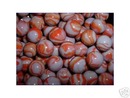 T- REX MARBLES ONE BAG