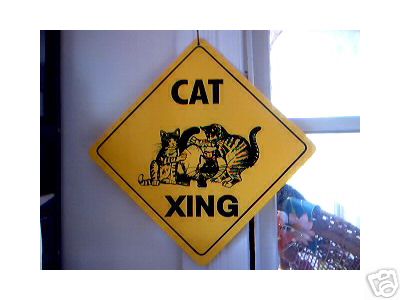 CAT CROSSING