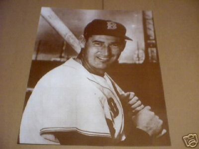 TED WILLIAMS PRINT
