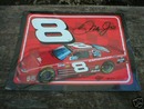 DALE EARNHARDT JR TIN SIGN COLLECTIBLE METAL SIGNS