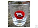 D EARNHARDT JR NASCAR SHOTGLASS COLLECTOR SHOTGLASSES