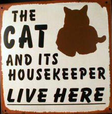 THE CAT LIVES HERE TIN METAL SIGN