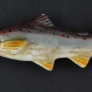 SALMON FISH BOTTLE OPENER CAST IRON