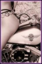 BIKINI MOTORCYCLE METAL SIGN