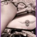 BIKINI MOTORCYCLE METAL SIGN