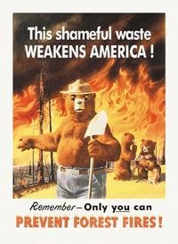 SMOKEY THE BEAR TIN SIGN