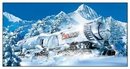 COORS LIGHT SILVER BULLET TIN SIGN METAL BAR BEER SIGNS