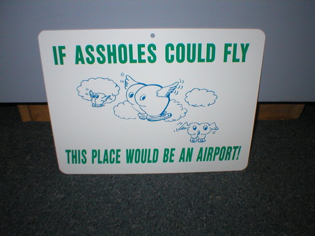 IF A--HOLES COULD FLY SIGN PLASTIC ADV AD SIGNS A