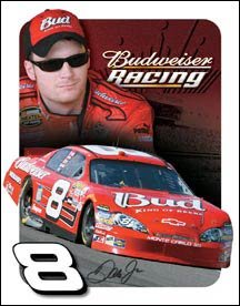 DALE EARNHARDT JR 2006 TIN SIGN METAL AD ADV SIGNS E