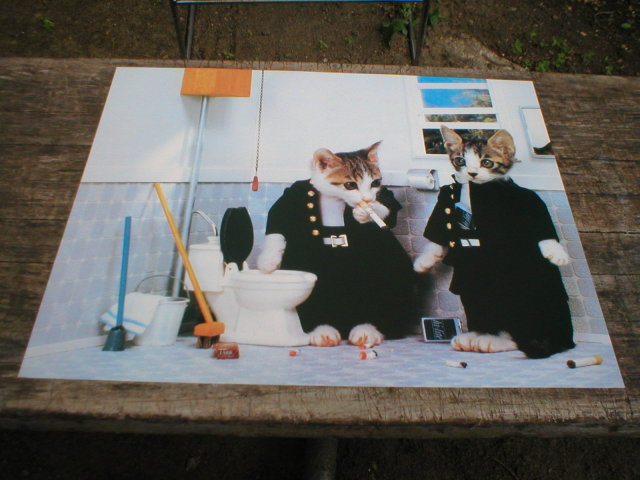 CATS SMOKING PRINT PICTURE