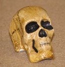 CAST IRON HAND PAINTED SKULL PAPERWEIGHT S