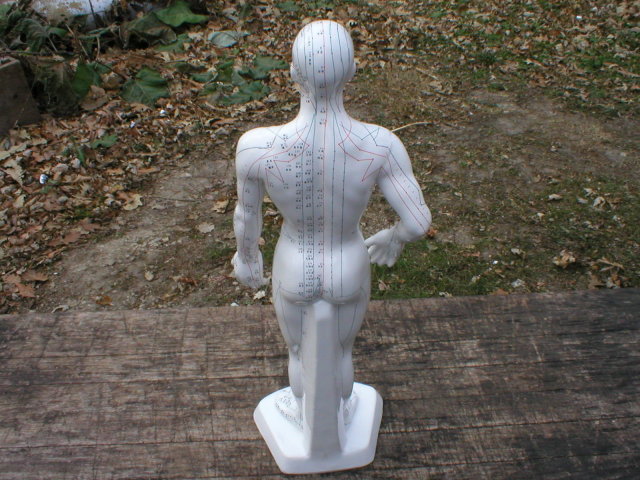 PORCELAIN ACUPUNCTURE MAN STATUE UNIQUE DECOR A