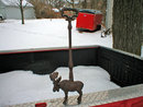MOOSE DOOR PORTER CAST IRON