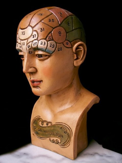 REALISTIC LOOK DR WILLARTON STONE RESIN PHRENOLOGY HEAD