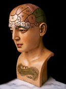 REALISTIC LOOK DR WILLARTON STONE RESIN PHRENOLOGY HEAD