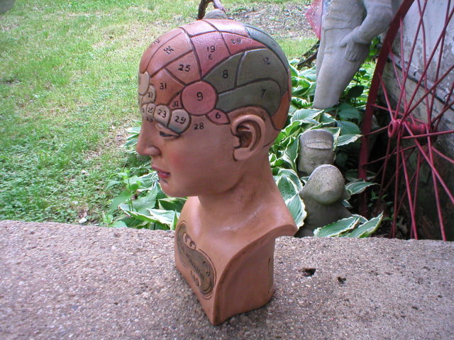 REALISTIC LOOK DR WILLARTON STONE RESIN PHRENOLOGY HEAD