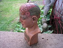 REALISTIC LOOK DR WILLARTON STONE RESIN PHRENOLOGY HEAD