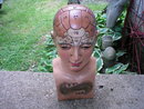 REALISTIC LOOK DR WILLARTON STONE RESIN PHRENOLOGY HEAD