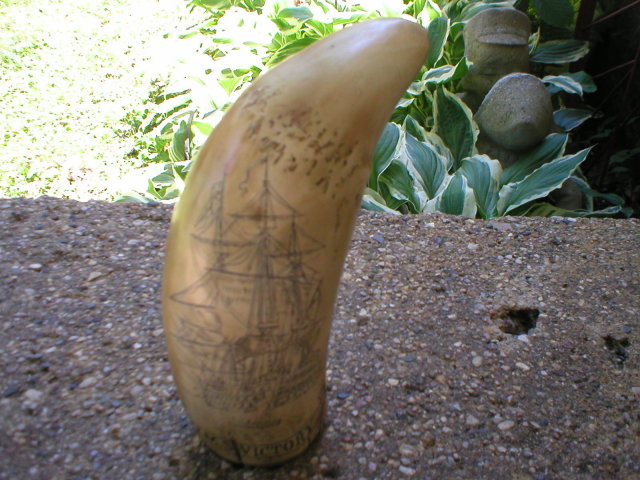 RESIN SCRIMSHAW TOOTH HORATIO NELSON HMS VICTORY