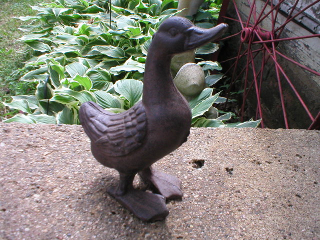 CAST IRON RUSTIC STANDING DUCK D