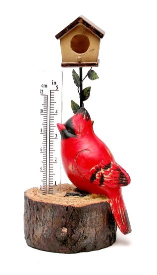 CARDINAL RAIN GAUGE YARD GARDEN DECOR C