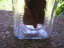 MEDIUM GLASS DAZEY BUTTER CHURN COLLECTOR CHURNS C