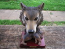 WOLF HEAD TREE STUMP FIGURINE RESIN
