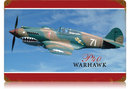 Flying Tigers Fighter Warhawk P-140 Heavy Metal Sign
