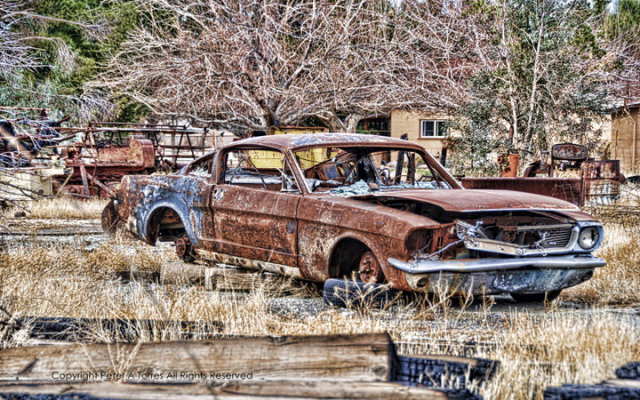 MUSTANG RUSTED PONY PETER TORRES HEAVY METAL SIGN
