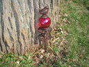 BIRD HOSE GUIDE RED BALL CAST IRON