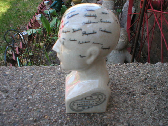 PHRENOLOGY HEAD SMALL PORCELAIN