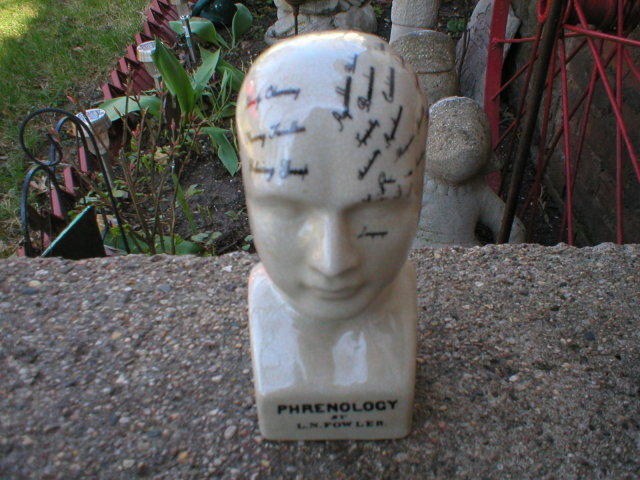 PHRENOLOGY HEAD SMALL PORCELAIN