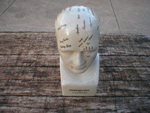 PHRENOLOGY HEAD MEDIUM PORCELAIN
