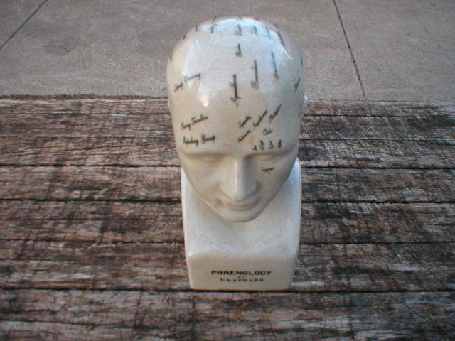 PHRENOLOGY HEAD MEDIUM PORCELAIN
