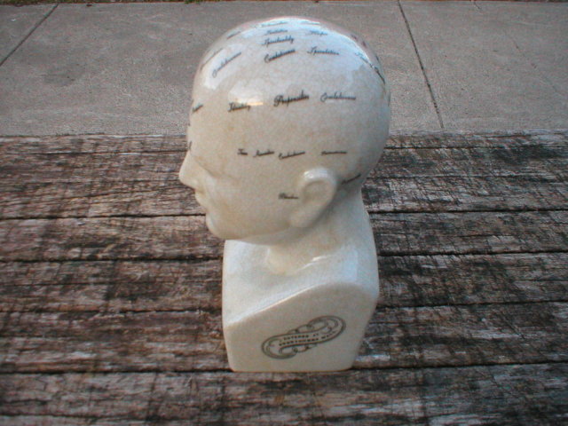 PHRENOLOGY HEAD MEDIUM PORCELAIN