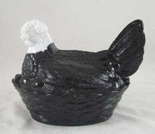EBONY HEN ON NEST WITH WHITE HEAD
