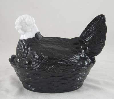 EBONY HEN ON NEST WITH WHITE HEAD