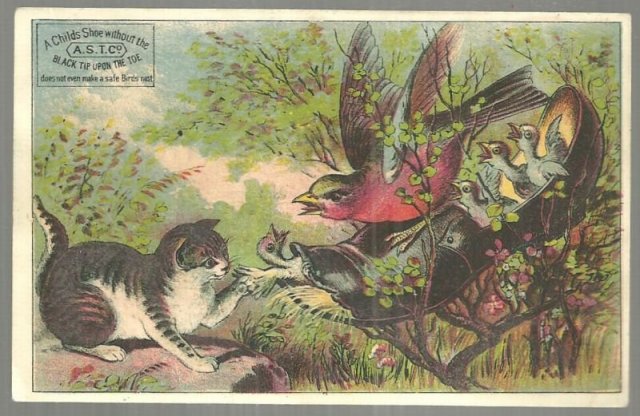 Victorian Trade Card Conners Brothers Shoes with Cat and Birds Nesting in Shoe