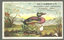 Victorian Trade Card for Geo. C. Hammond and Company Booksellers Rhode Island