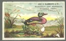 Victorian Trade Card for Geo. C. Hammond and Company Booksellers Rhode Island