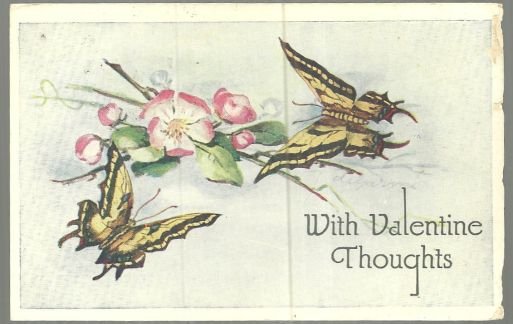 Valentine Postcard Butterflies with Flowers Bring With Valentine Thoughts 1931